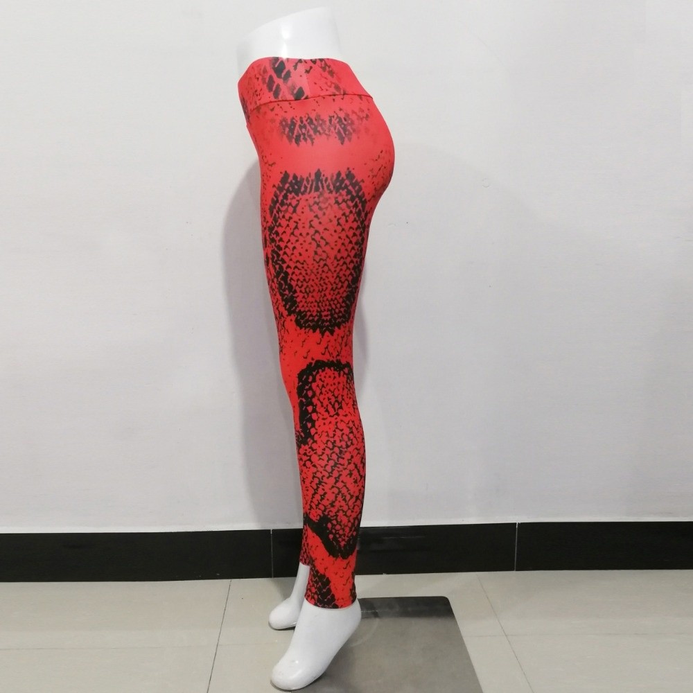 Leggings con estampado de serp - Pilates Yoga Legging reseña y precio